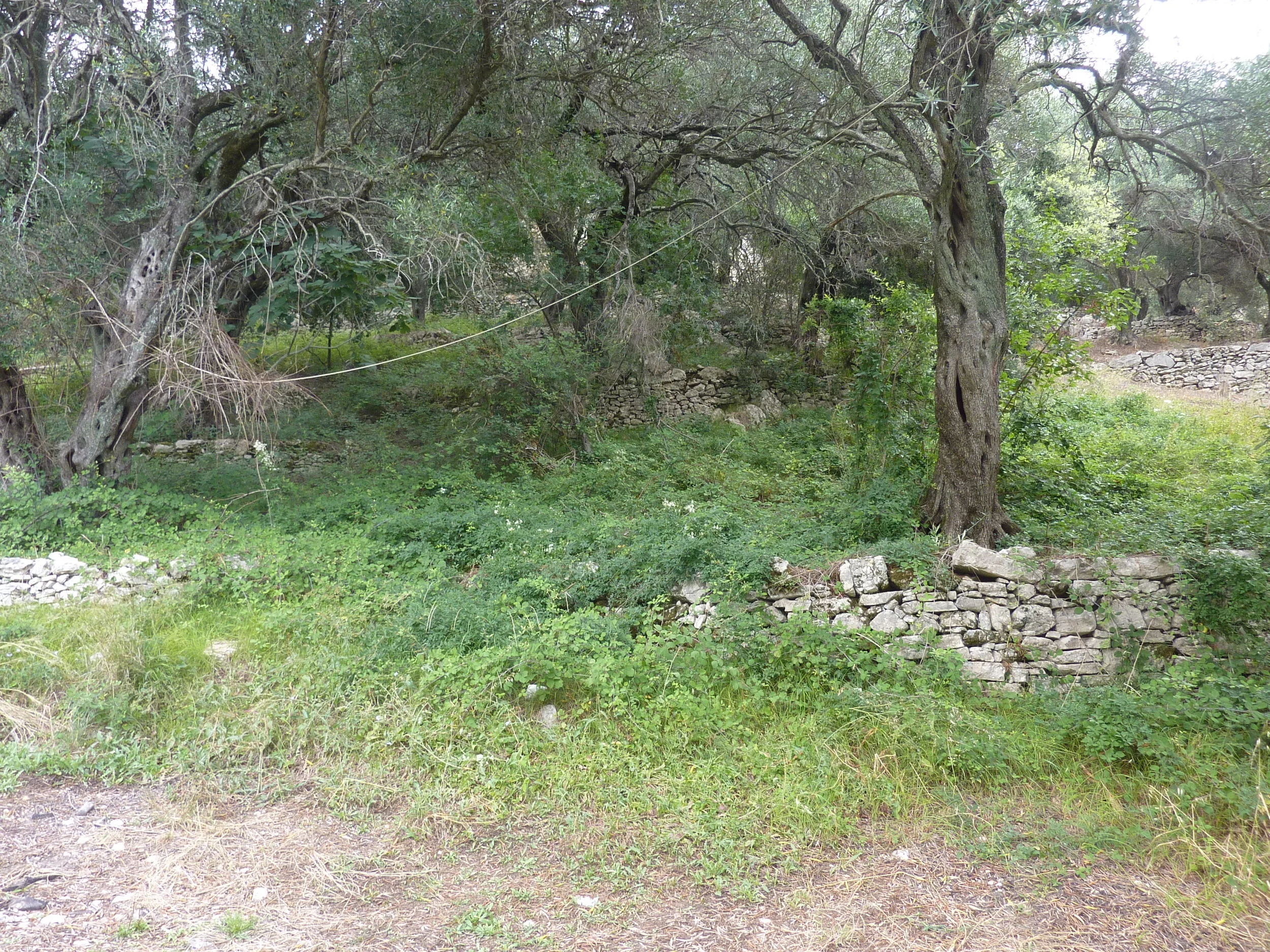 2018-06-25 13.33.56.jpg