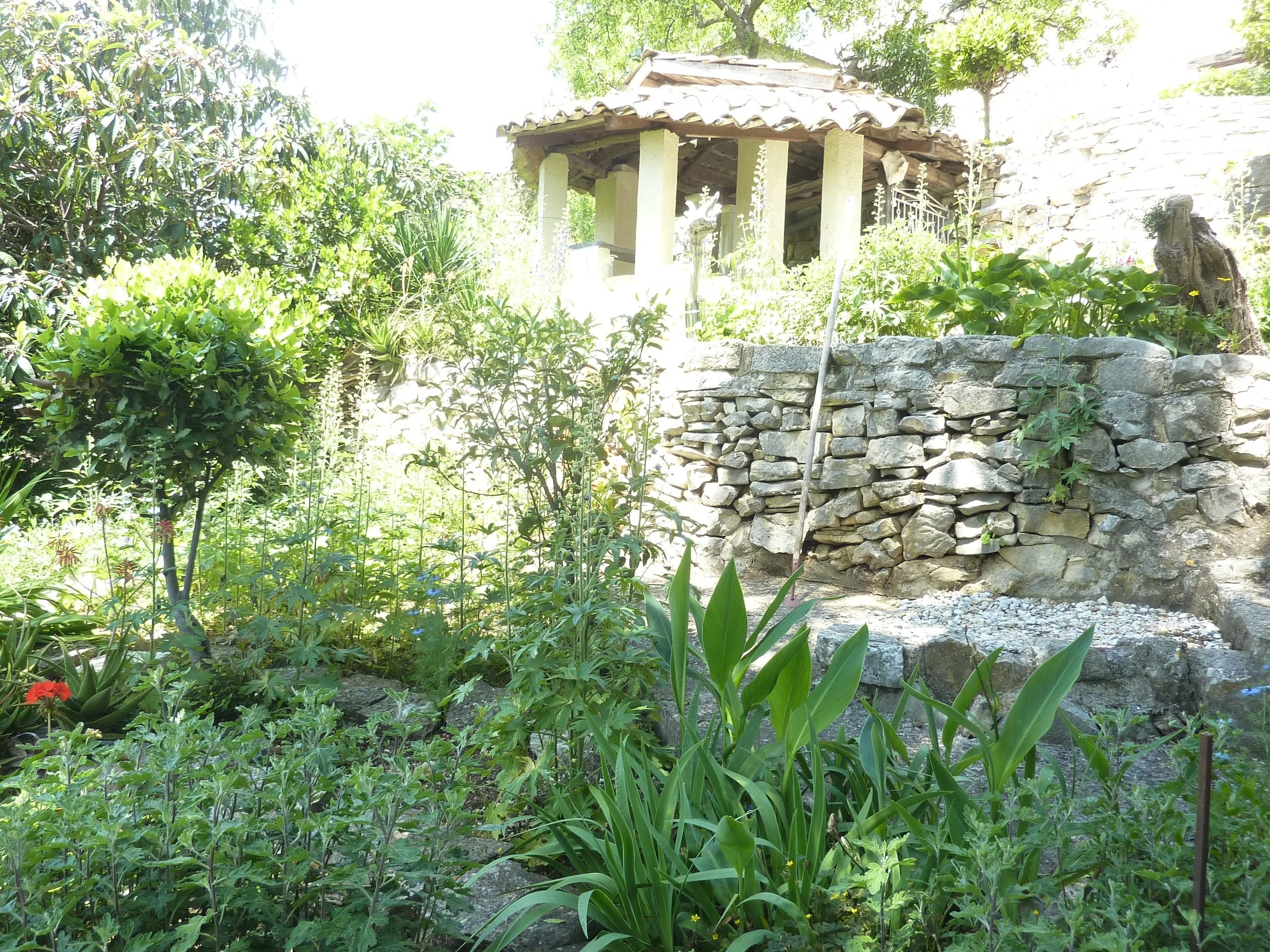 2019-05-23 13.43.54.jpg