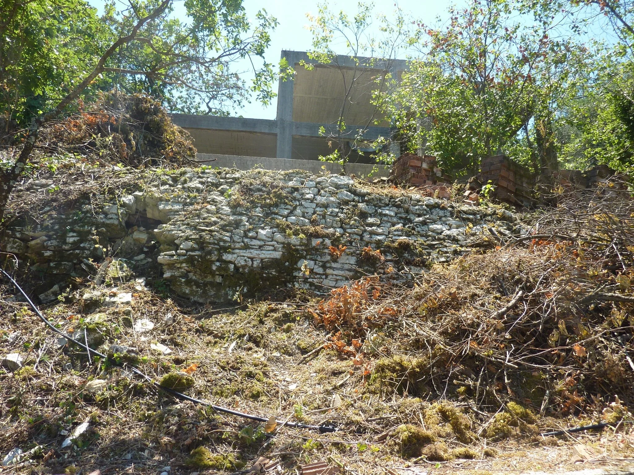 Corfu_Estate_Agents_Tritsi_Shell_19.jpg