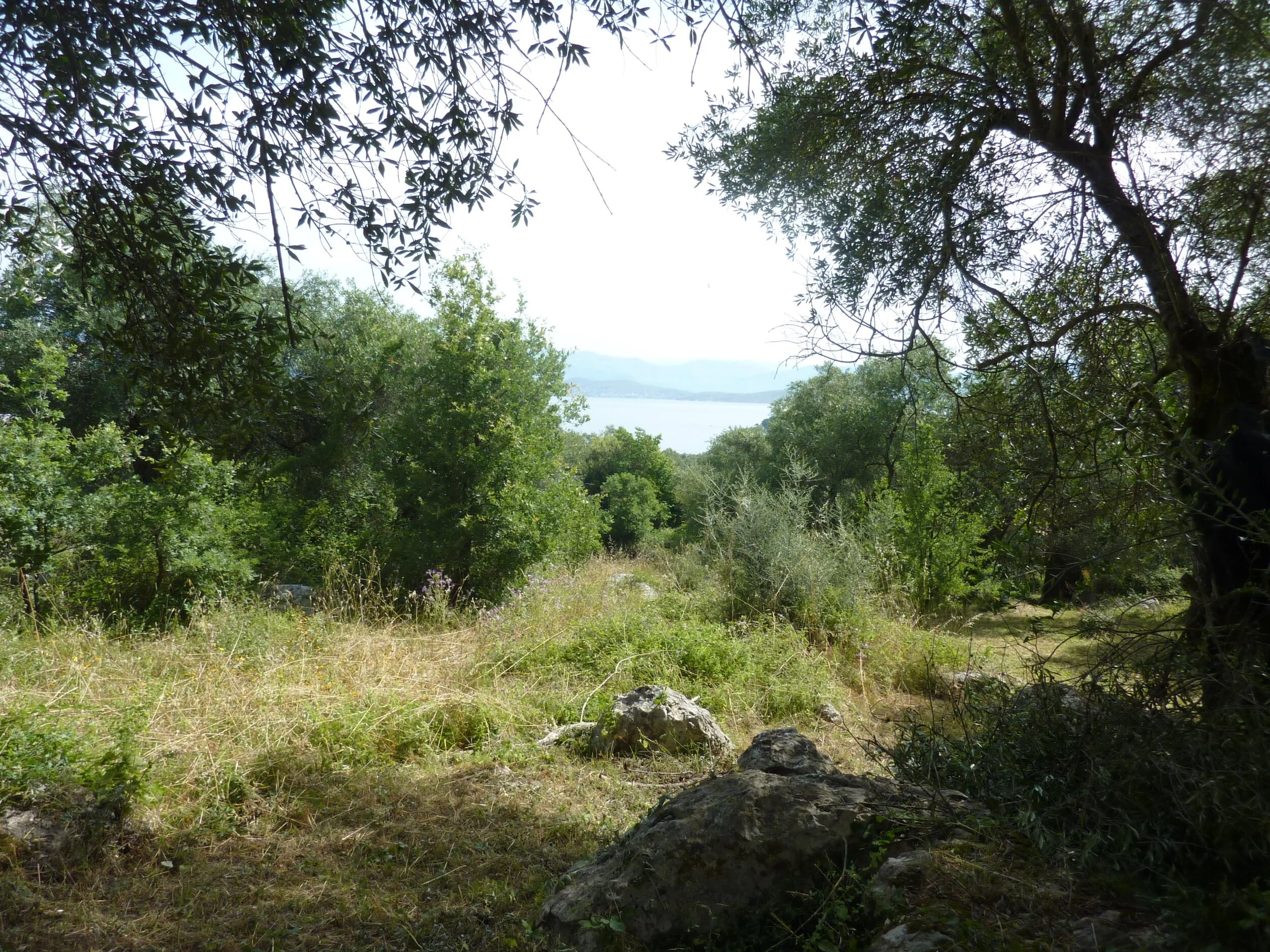 Kassiopi_Hilltop_Land_CEA-1.JPG