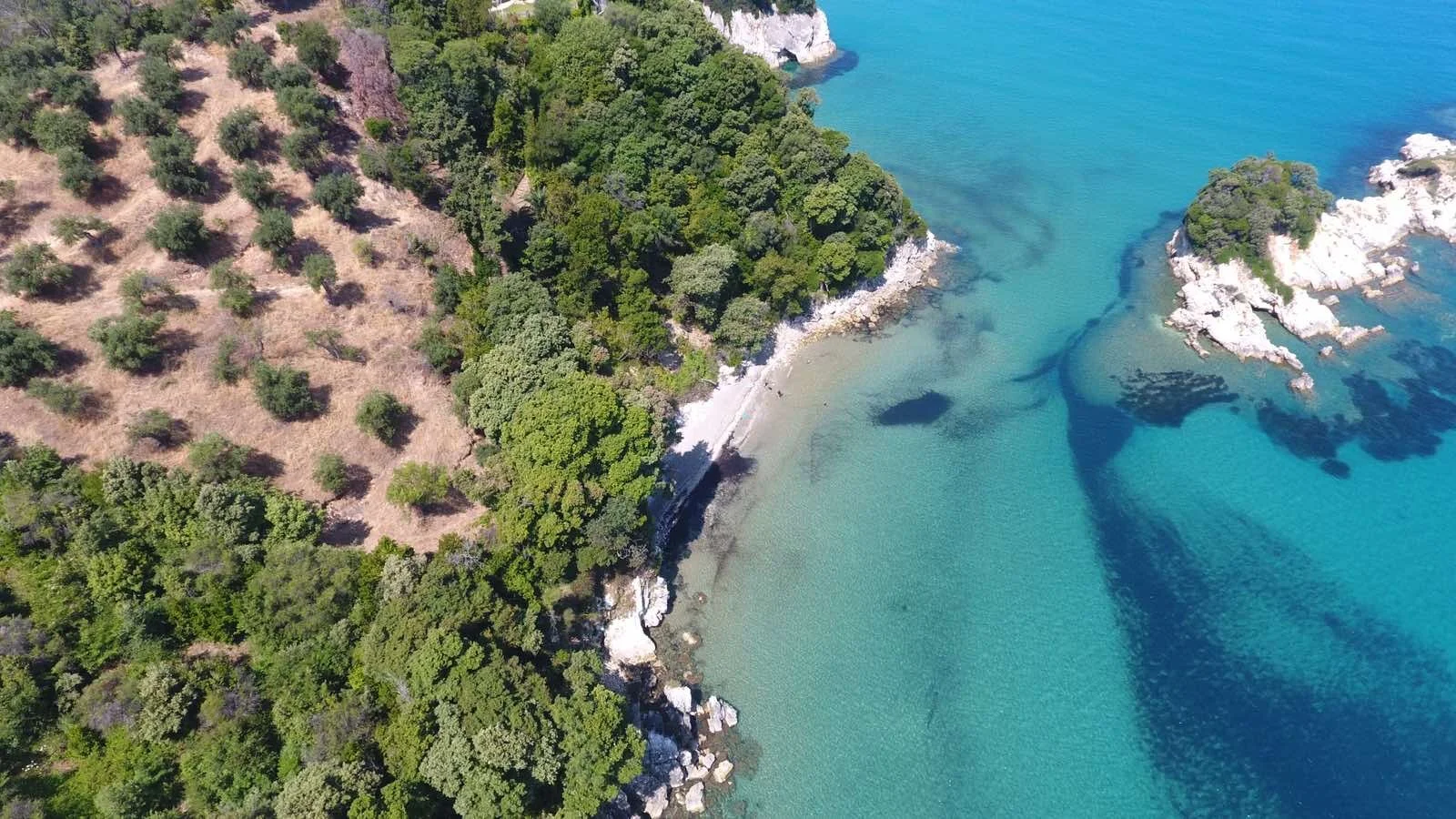 Corfu_Estate_Agents_Beachfront_Land_Agios_Spyridon4.jpeg