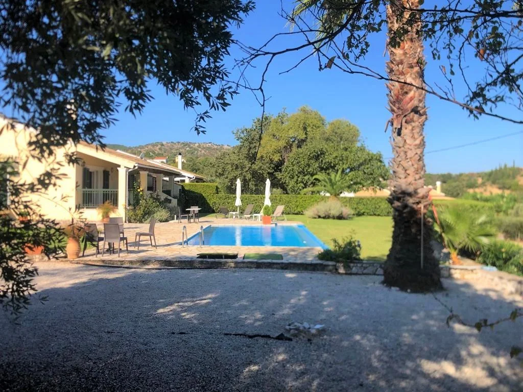 under olive tree.jpeg