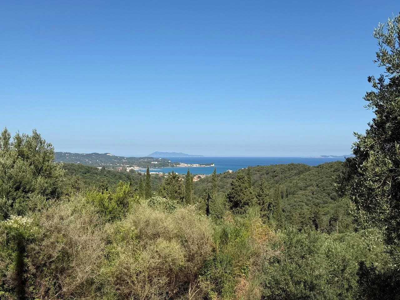 Actual view Martin.jpeg