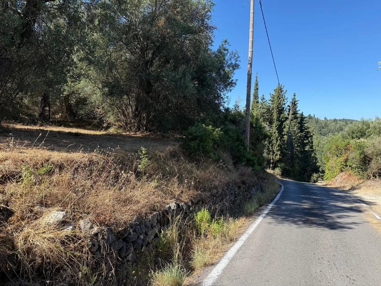 Road access Martin.jpeg