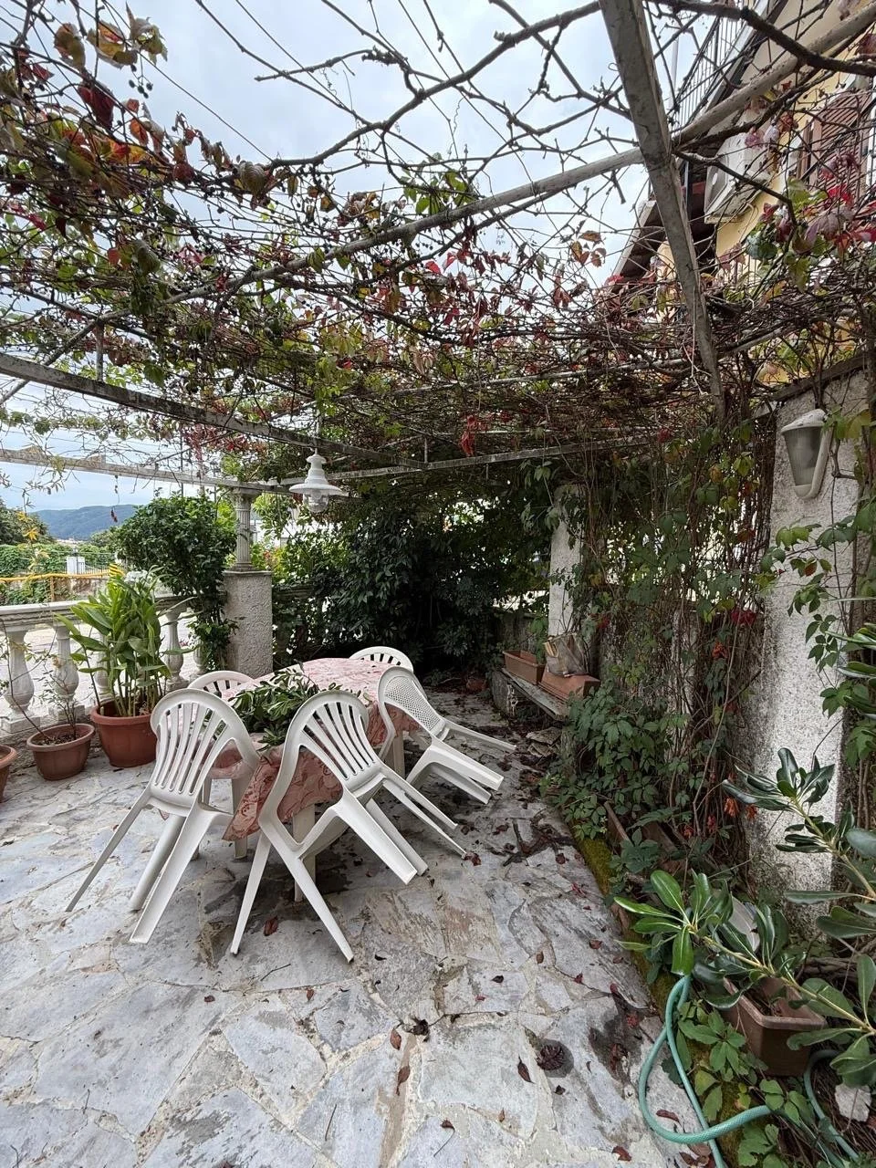 Image 37.jpg