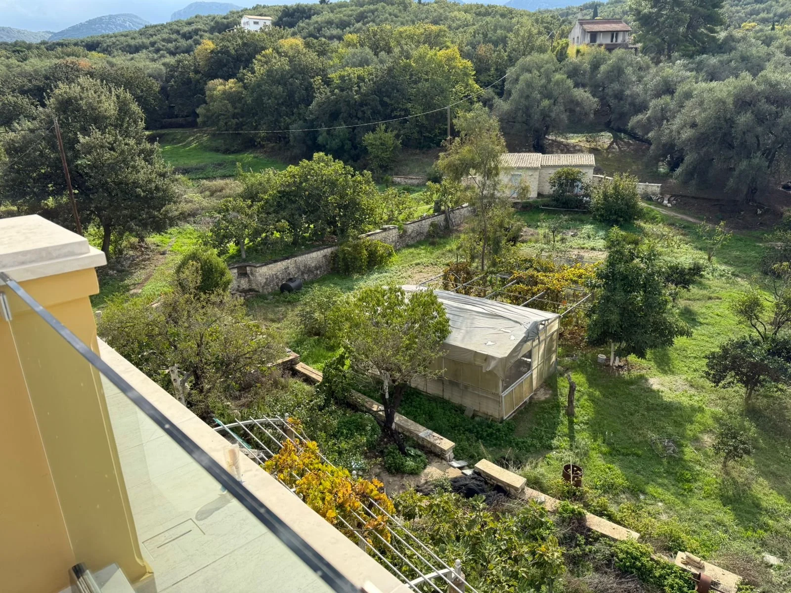 WhatsApp Image 2025-10-22 at 12.08.11.jpeg