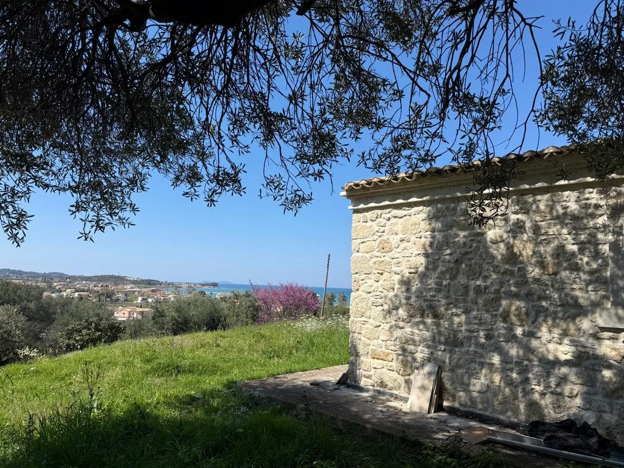 WhatsApp Image 2026-03-24 at 21.10.07.jpeg