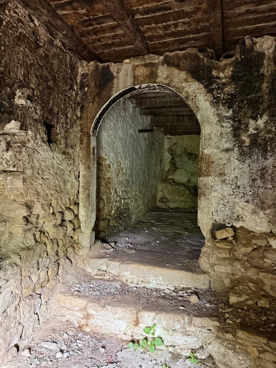 Arch entrance.jpeg