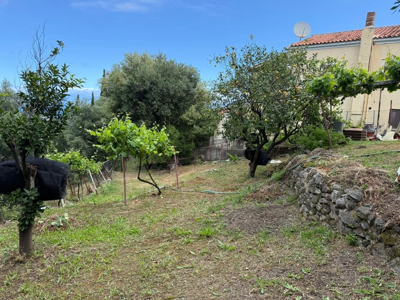 Garden terrace.jpeg