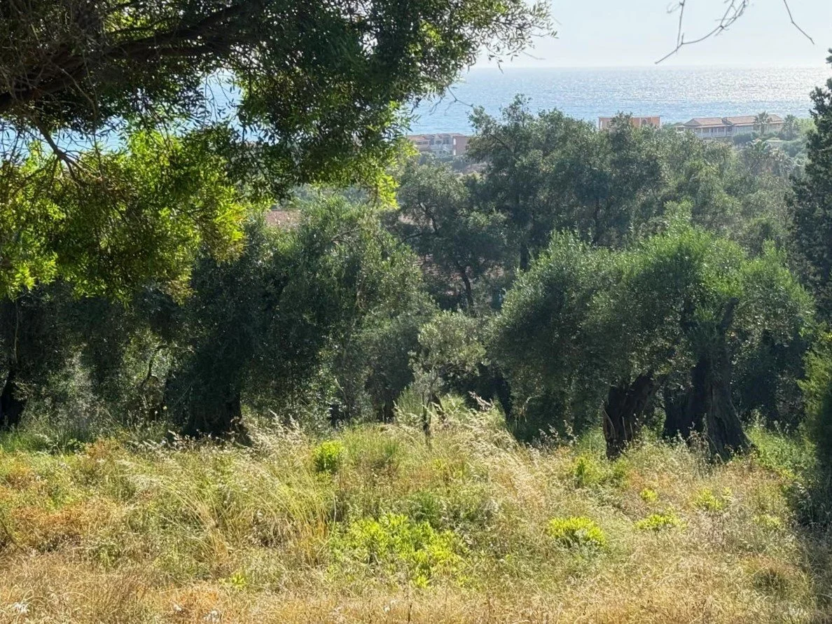 Arillas view land.jpeg