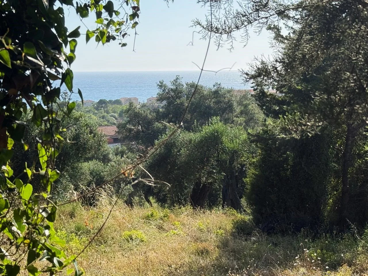 Land view.jpeg