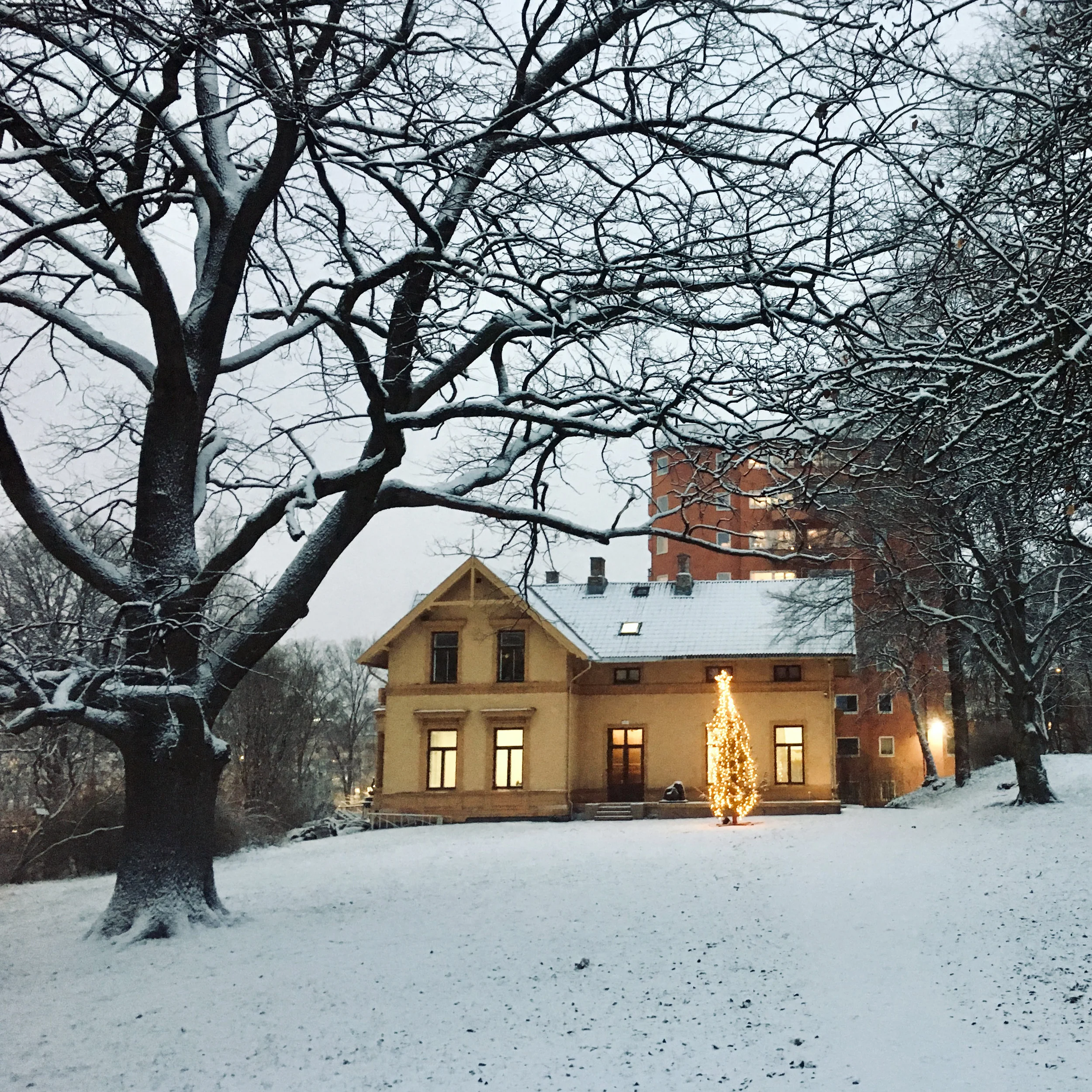 Jul i Villa Furulund