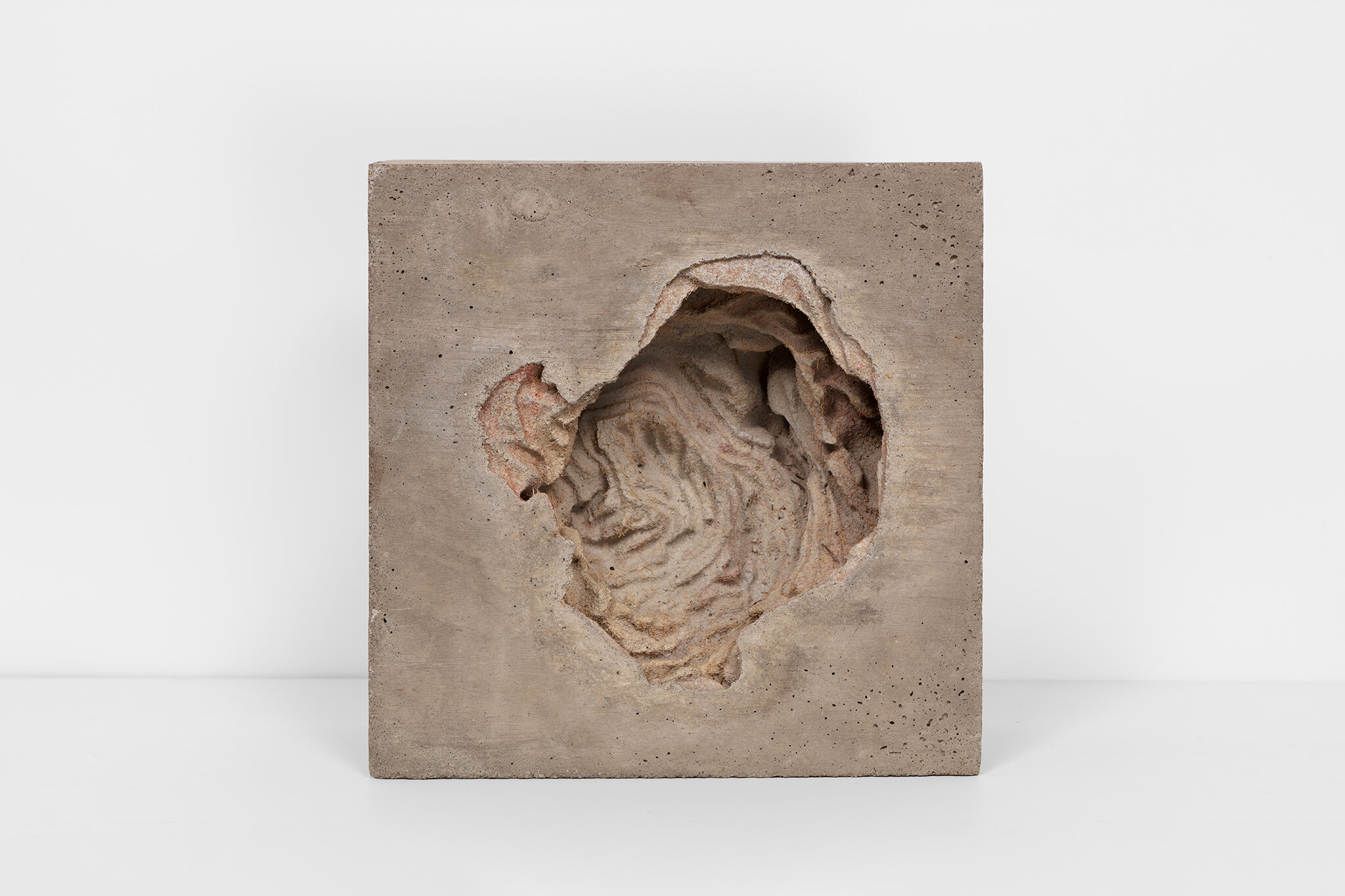 Ornament, negativ II