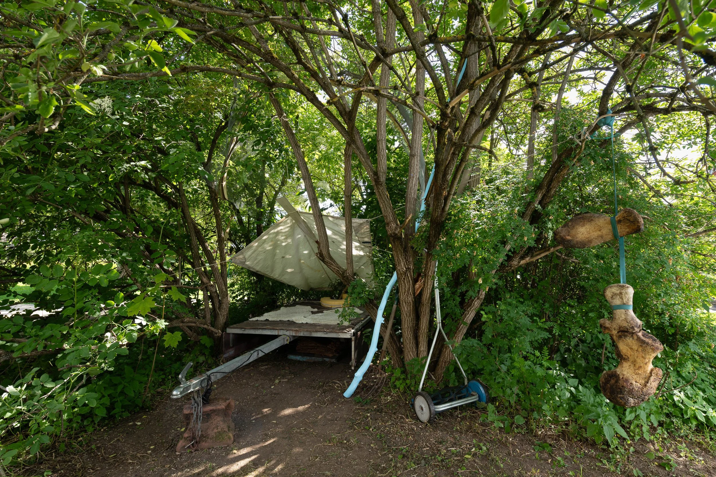 Billedhoggerforening_Skulpturpark_2025_WebRes_42.jpg