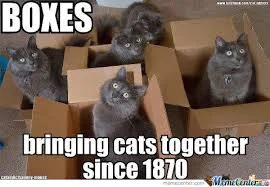 Cinderella Told Through Cat Memes