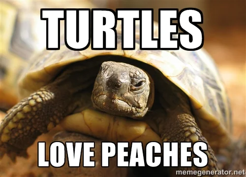 A Turtle Named Lionel [The Turtle Sonnet]