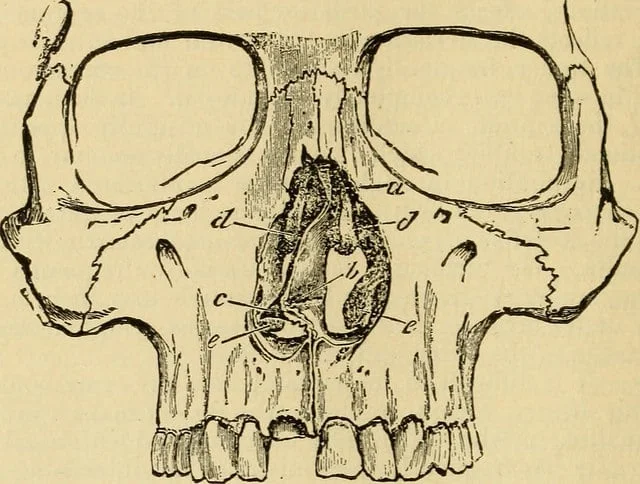 20 Weirdly Specific Words