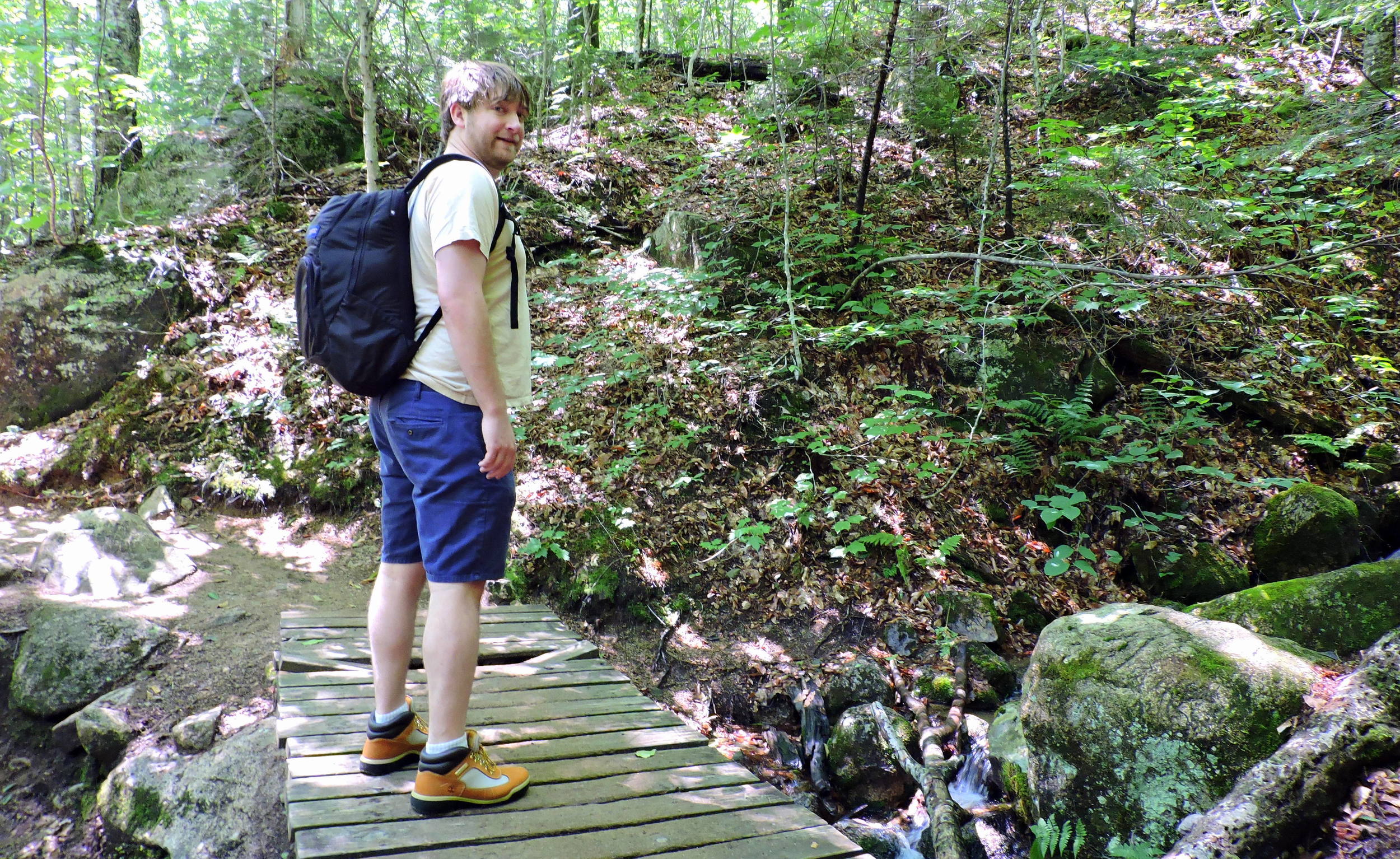 Most bridges are made of woods, though you may find massive bridges made of metals such as steel, and natural bridges made from rock.