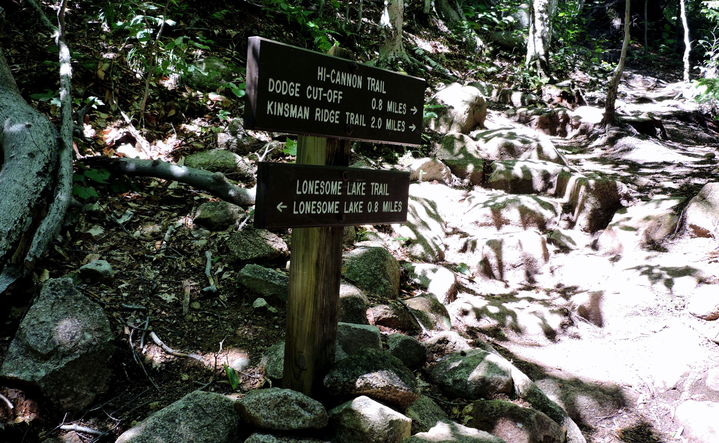 Signs are frequently used for helping hikers find their way through the state forest. This sign pointed Ariele and Josh towards Lonesome Lake.