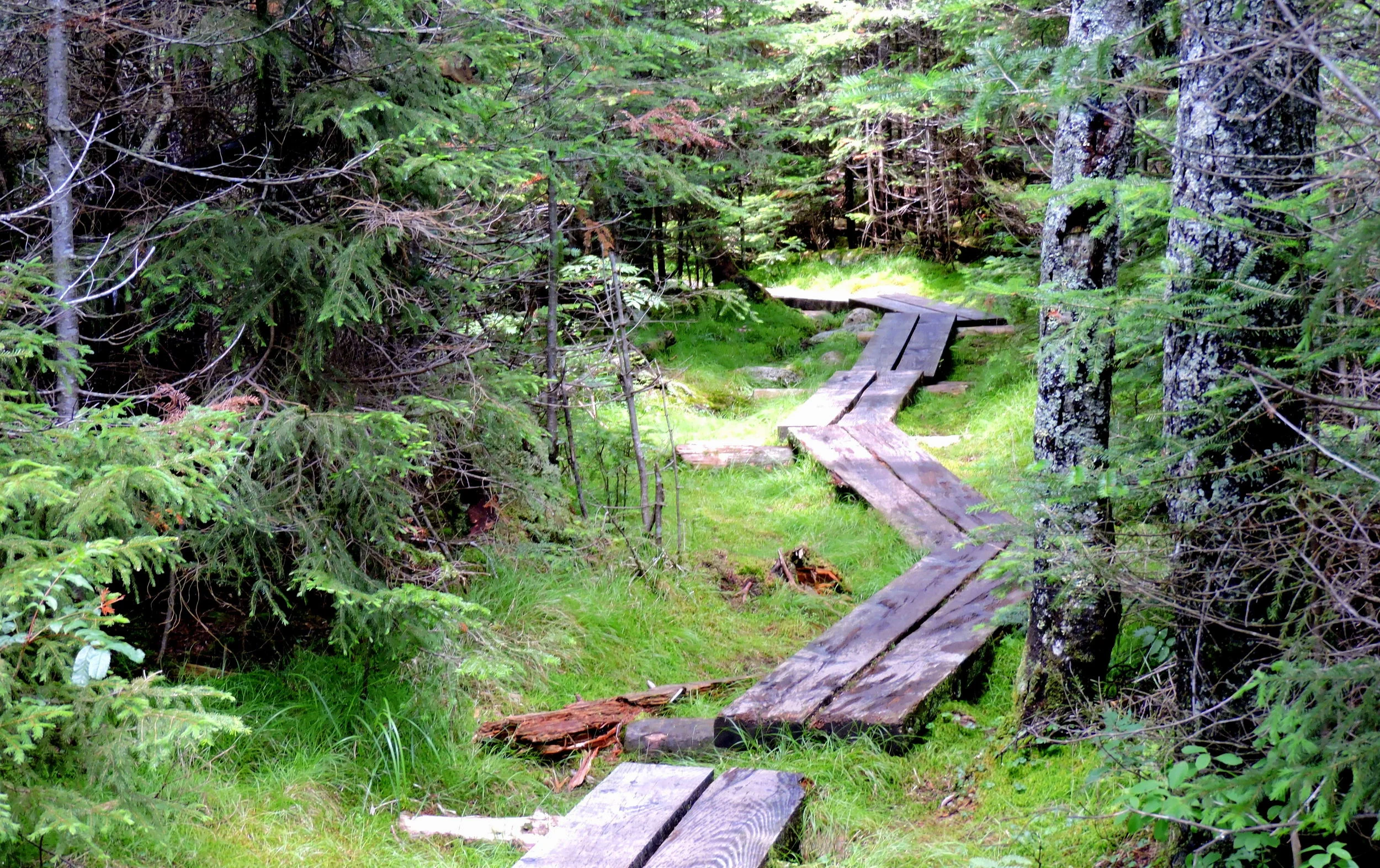 One of the planks was floating a little when I stepped on it, and it was super exciting when I didn't fall in.