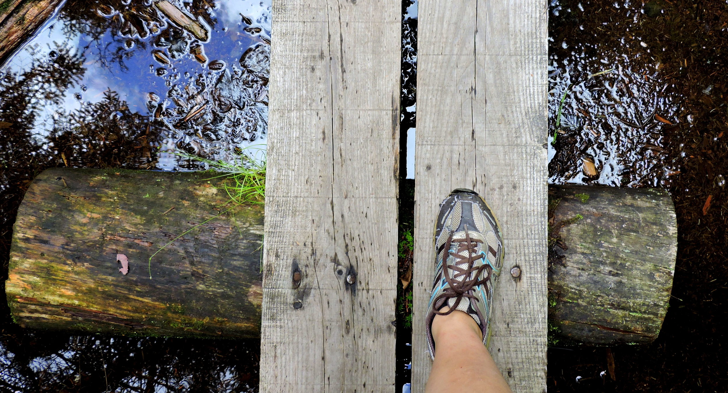 Ariele strides confidently across the wooden pathways, knowing that at any moment she will have to stop and tuck in her shoelace as it is tickling her ankle.