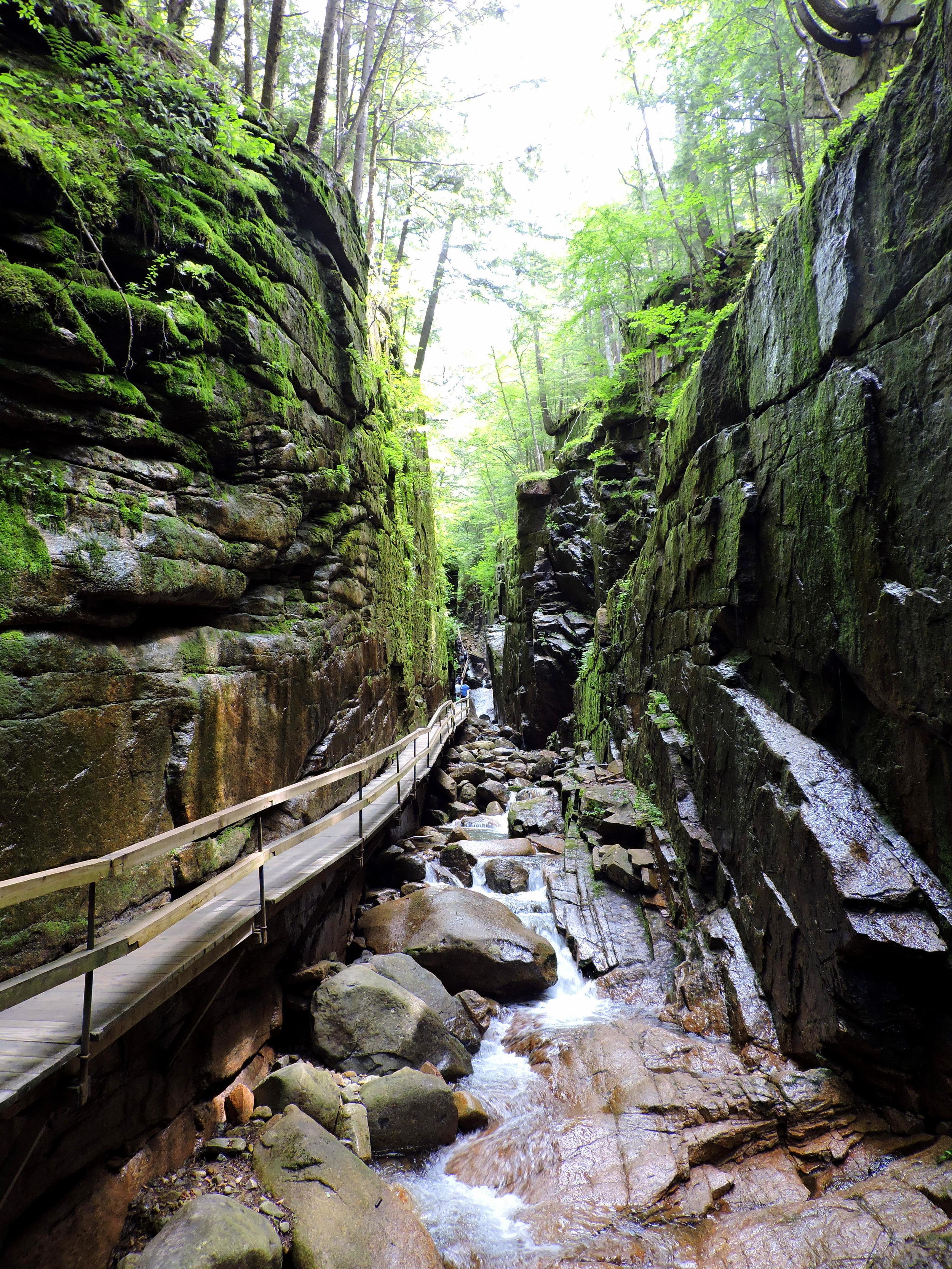 I loved walking up the Flume.