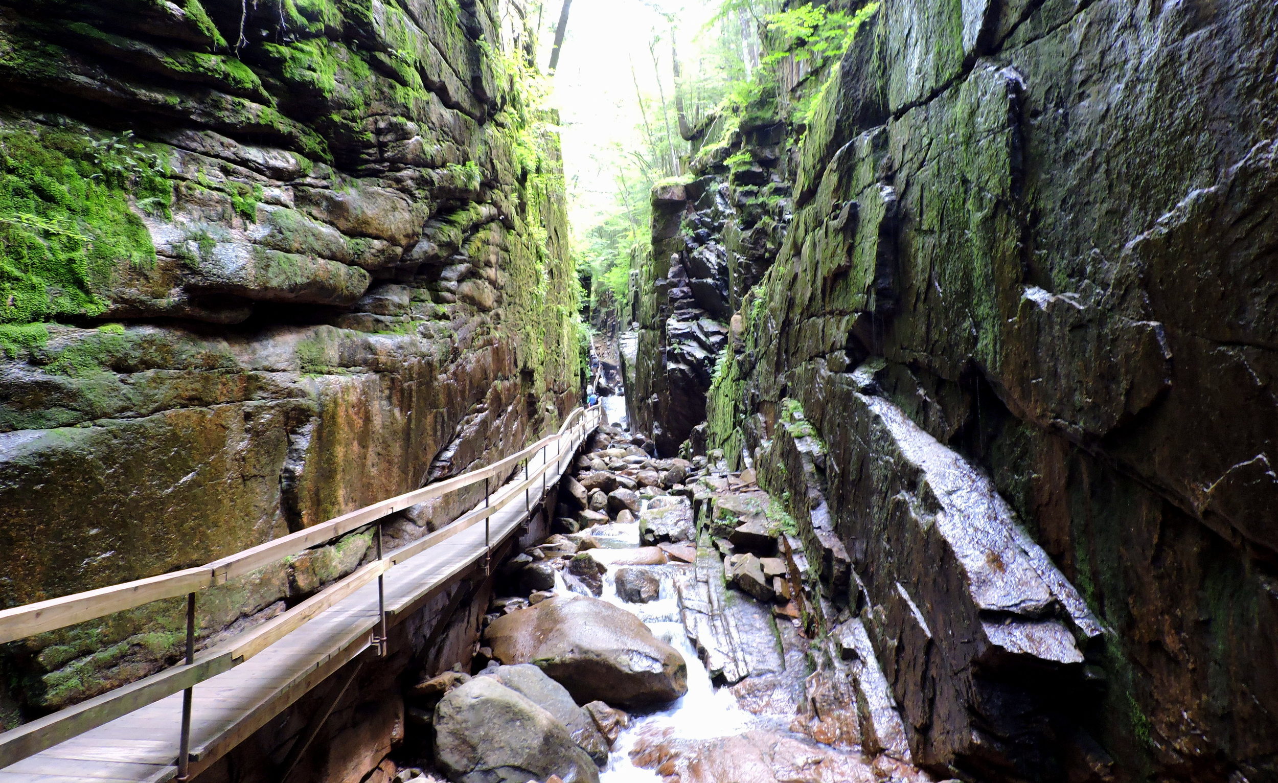 According to The Flume website, "The Flume was discovered in 1808 by 93-year-old “Aunt” Jess Guernsey when she accidently came upon it while fishing. She had trouble convincing her family of the marvelous discovery, but eventually persuaded others to come and see for themselves. At that time, a huge egg-shaped boulder hung suspended between the walls. The rock was 10 feet (3m) high and 12 feet (3.6m) long. A heavy rainstorm in June of 1883 started a landslide that swept the boulder from its place. It has never been found. The same storm deepened the gorge and formed Avalanche Falls."