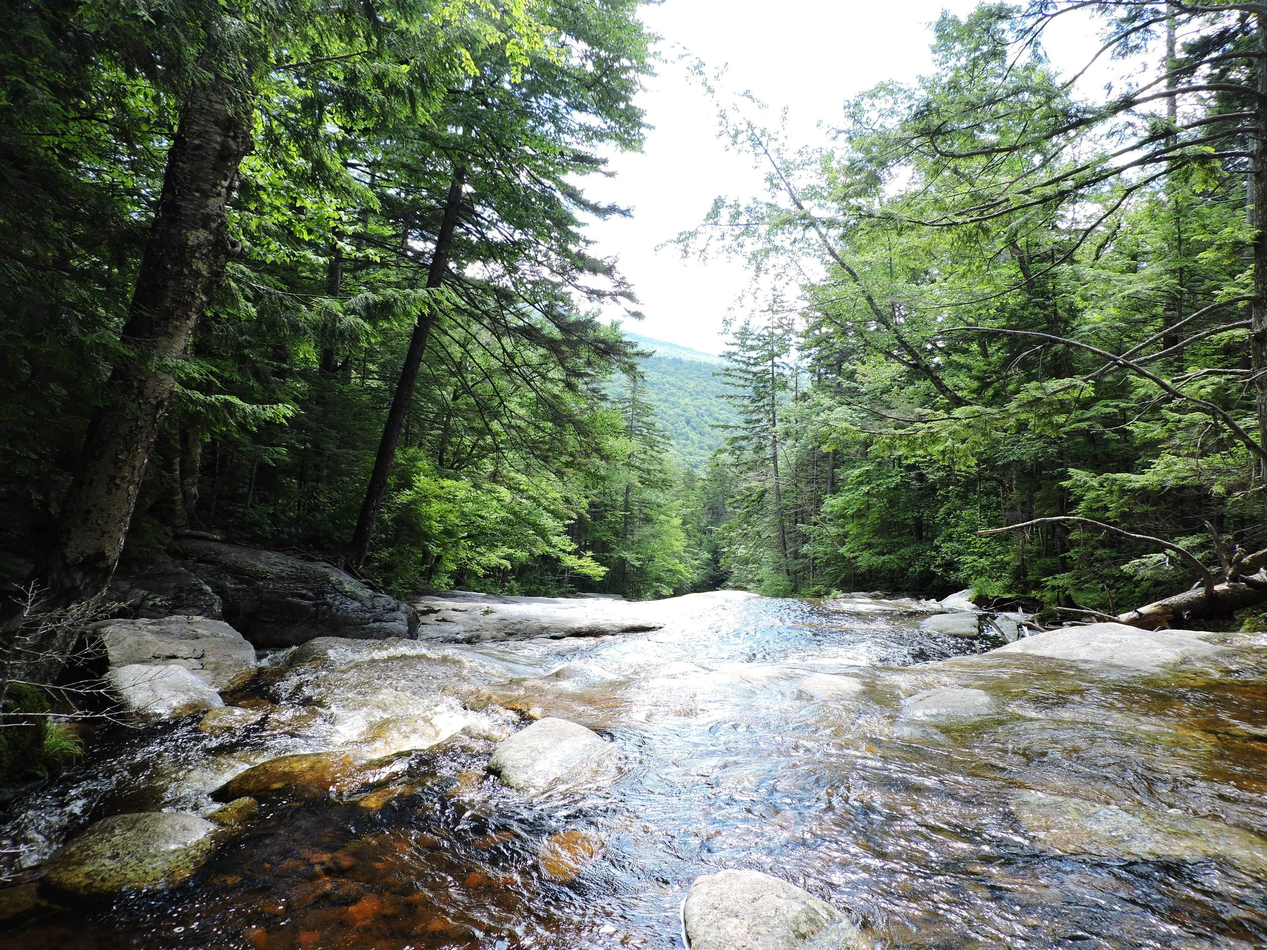 I don't know if I could survive without places like this.