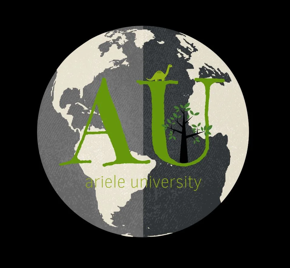 Ariele University: A Whack On The Side of the Head