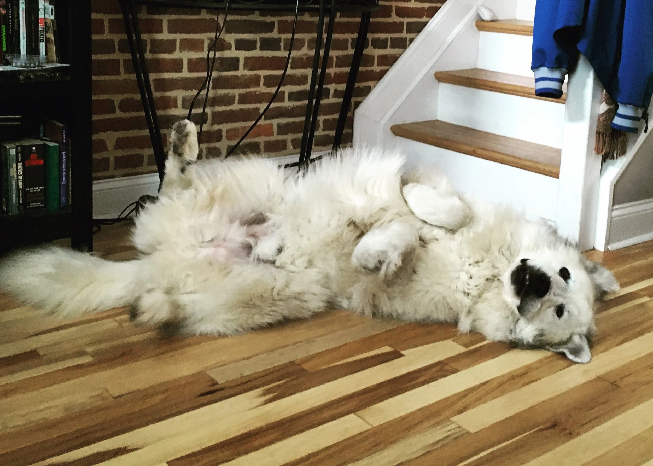 Ariele's Writing Life: A June (Very Nearly July) Update