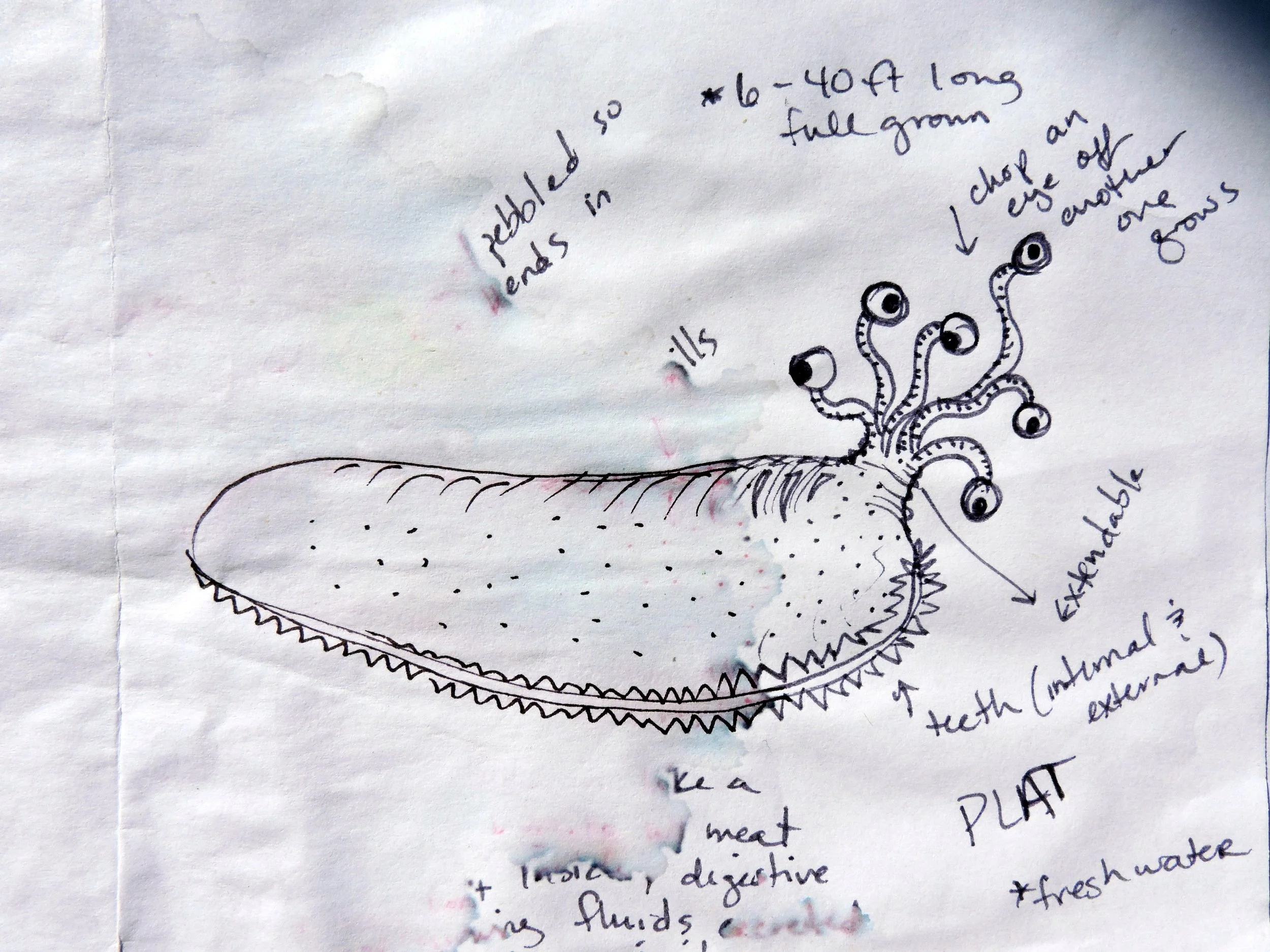 For Writers: List of Monster Parts