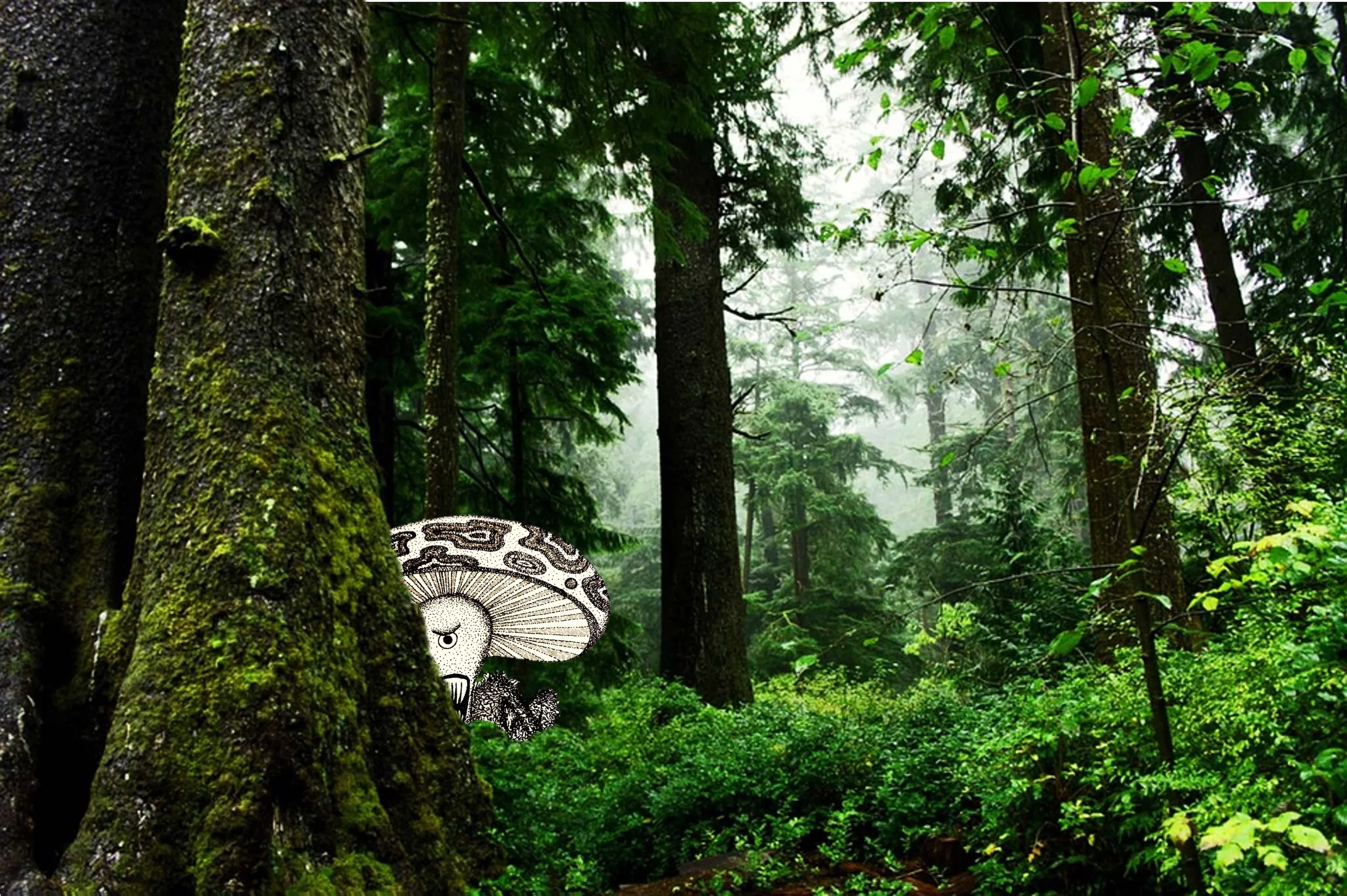 Land of Szornyek: Who Are The Lamplighters? (possible spoilers)