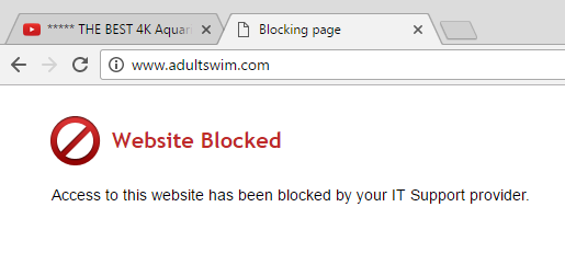 This is the messaged display to the user via the web browser