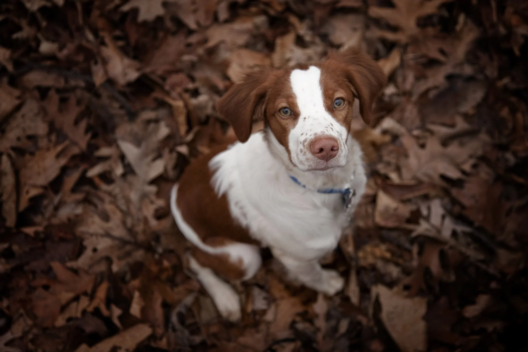 20110723 Keeper 2011 2_Page_15.jpg