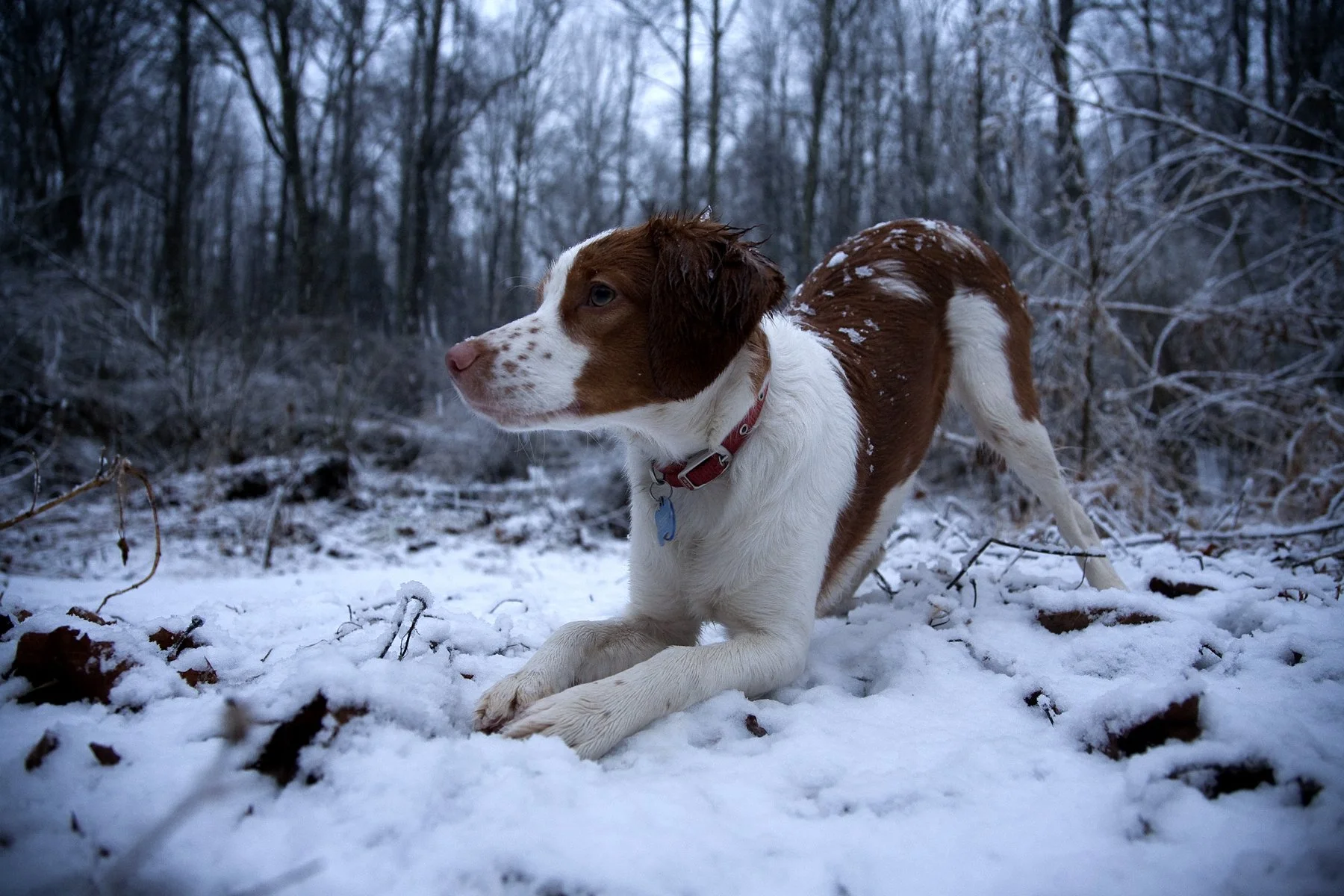 20110723 Keeper 2011 2_Page_33.jpg