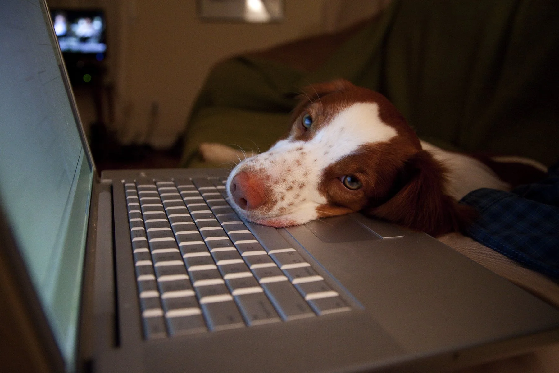 20110723 Keeper 2011 2_Page_38.jpg