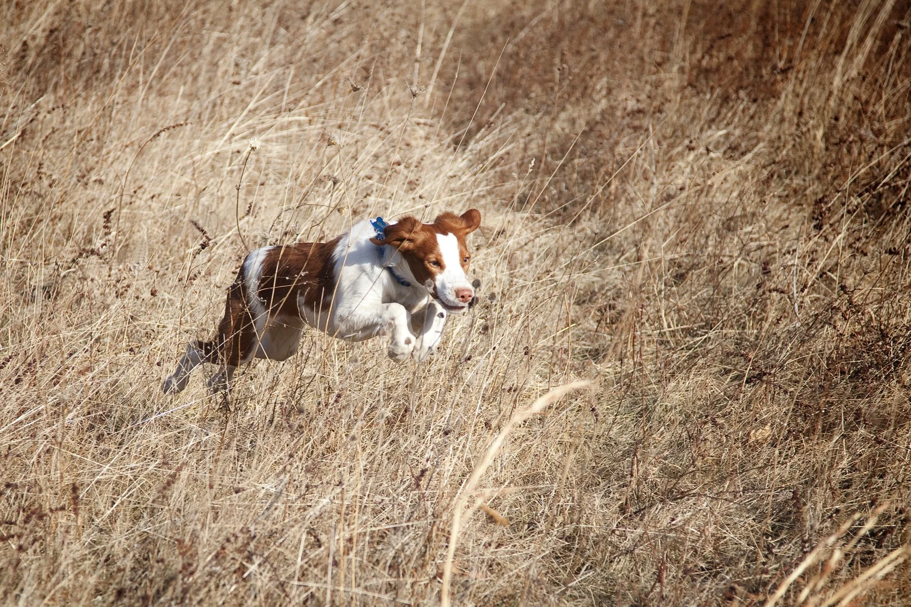 20110723 Keeper 2011 2_Page_46.jpg