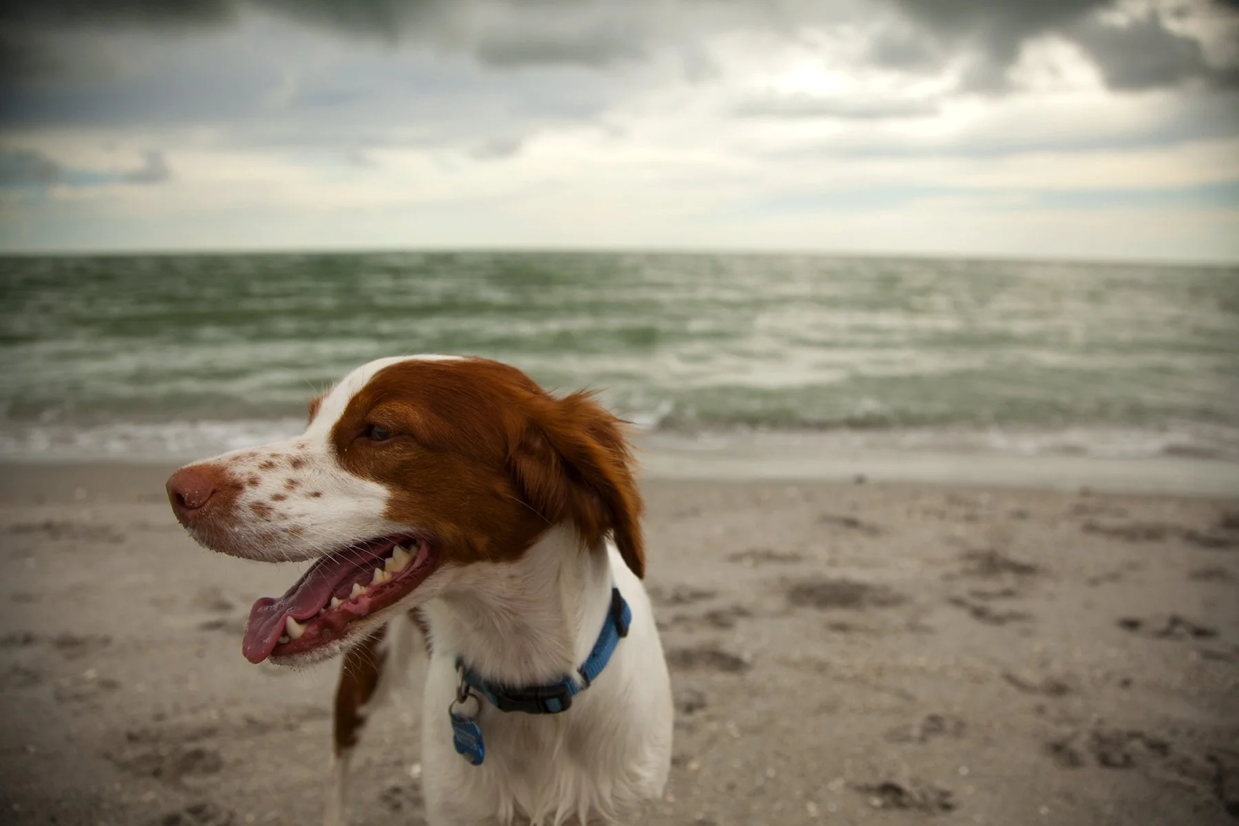 _MG_2262 Keeper Beach.jpg