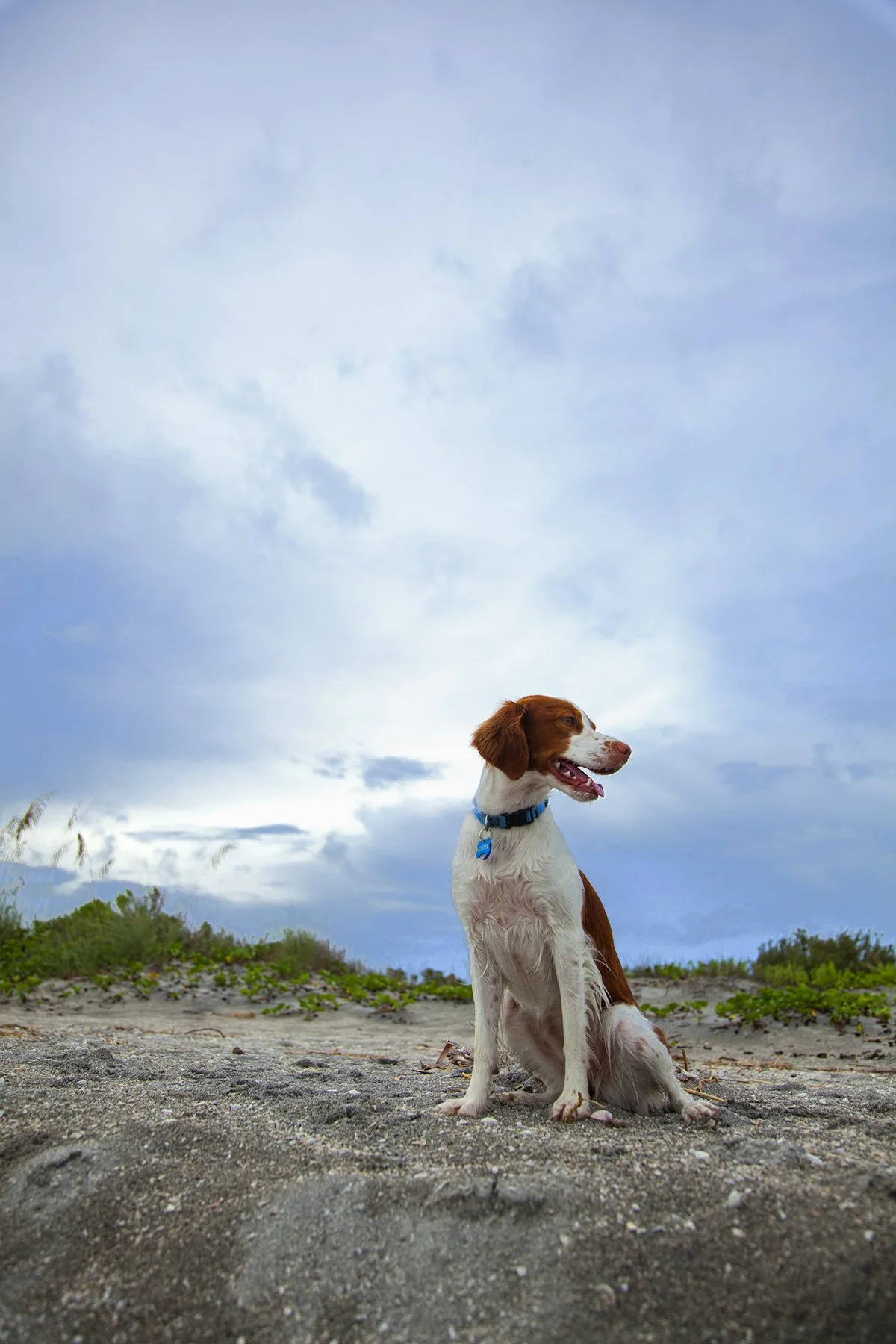 _MG_2294 Keeper Storm.jpg