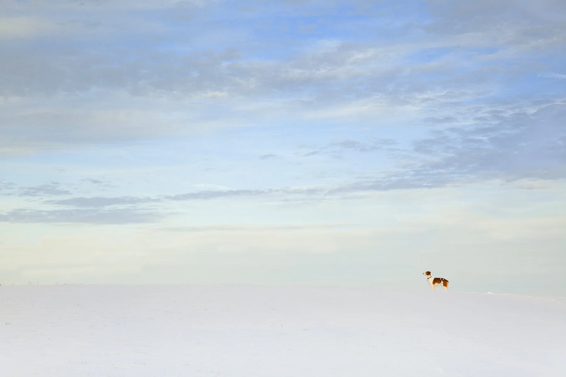 _MG_4213 Keeper Snow Ridge.jpg