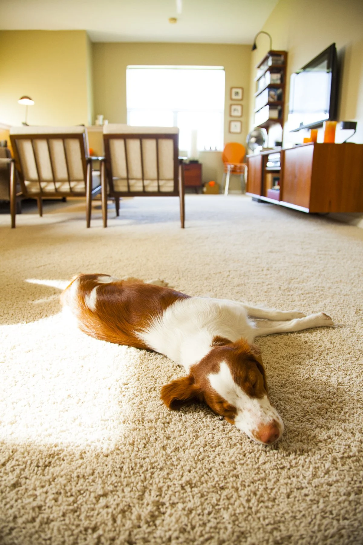_MG_7509 Keeper on Floor.jpg