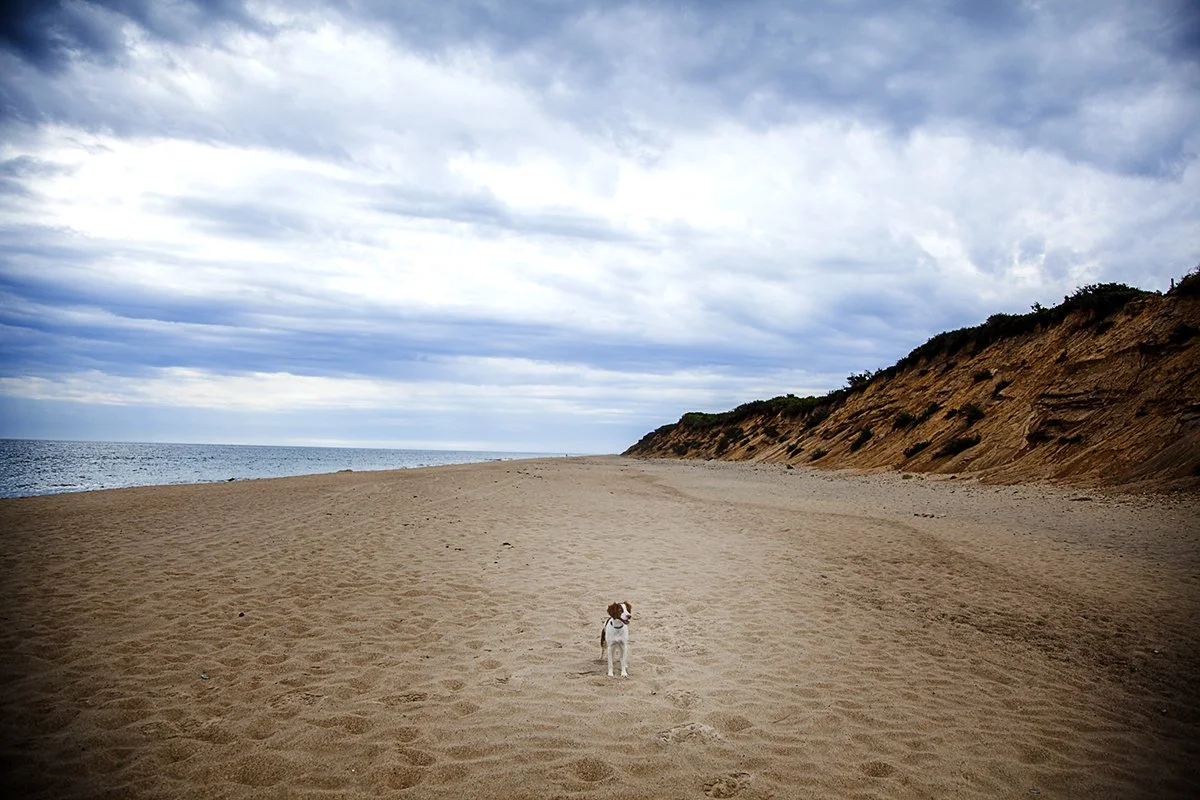 _MG_2062 Keeper Cape Cod.jpg