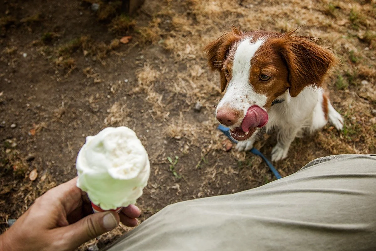 _MG_2455 Ice Cream Keeper.jpg