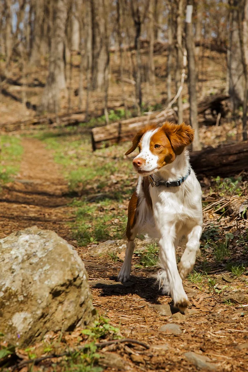 _MG_0195 Keeper Trail.jpg
