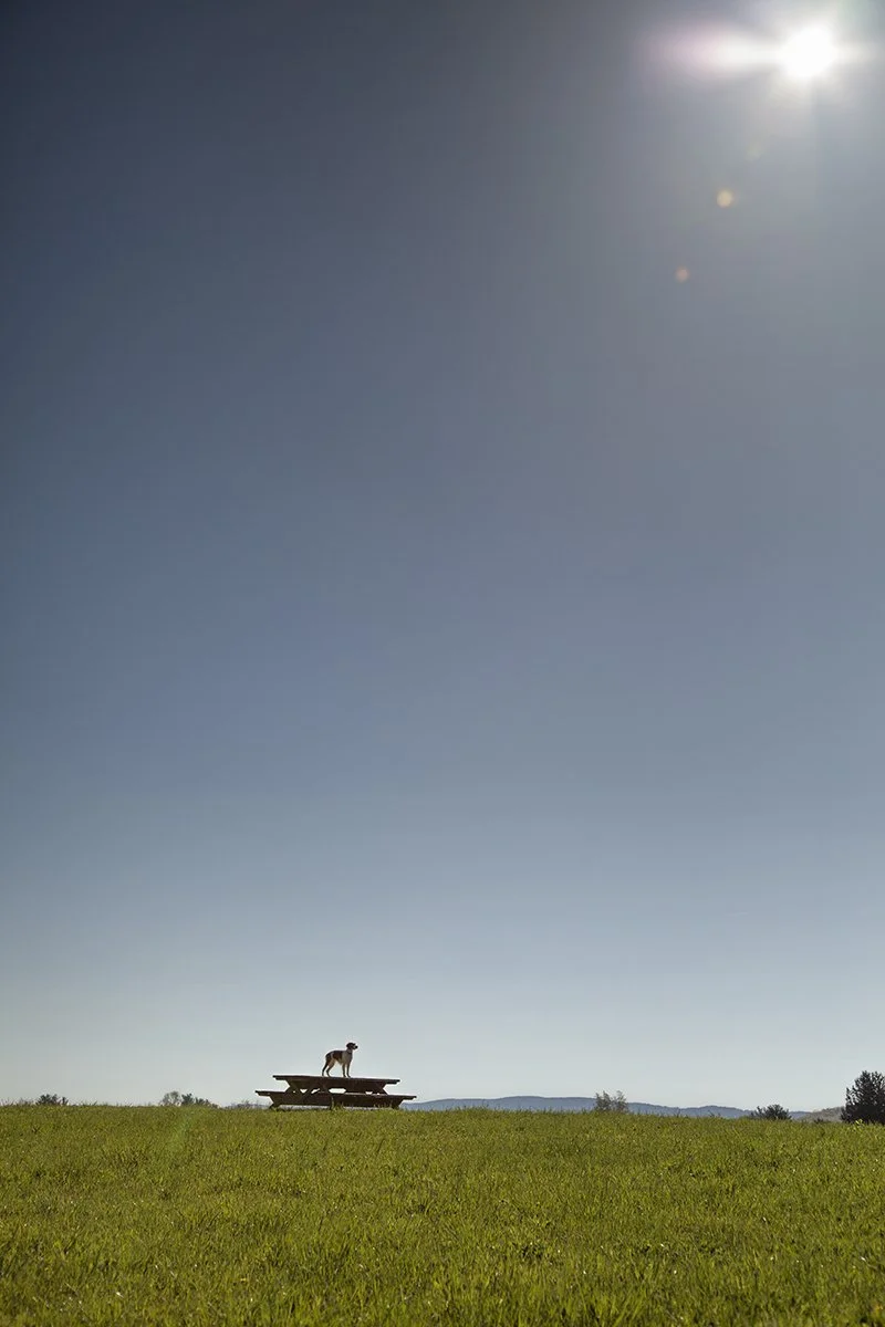 Keeper Picnic Table_MG_0419.jpg