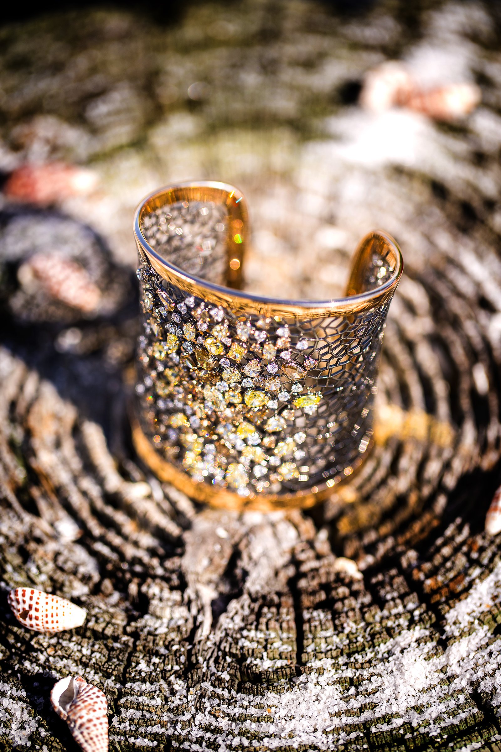 Setup 5 IMG_3094.jpg