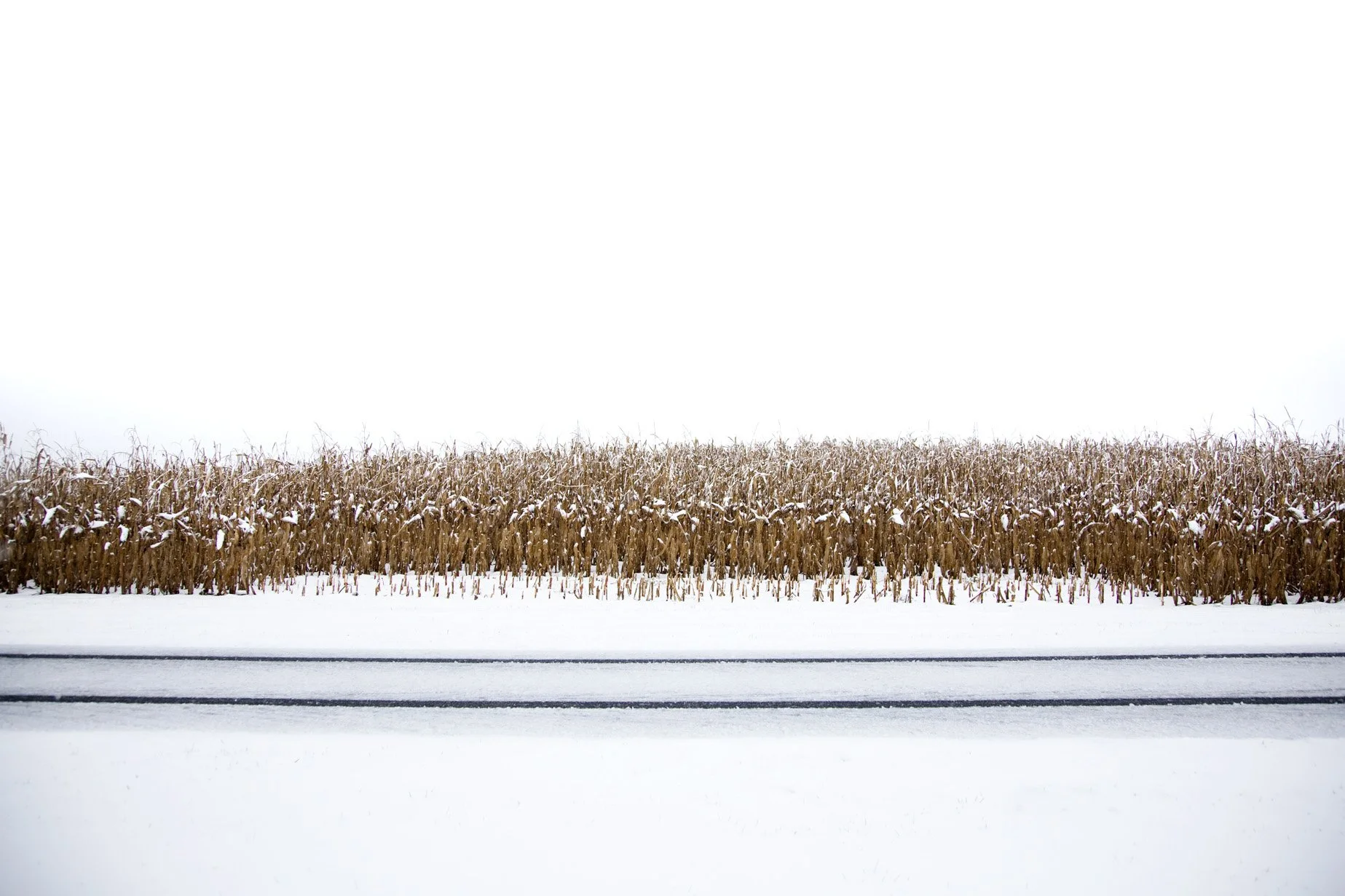 20111029_1963 Tracks.jpg