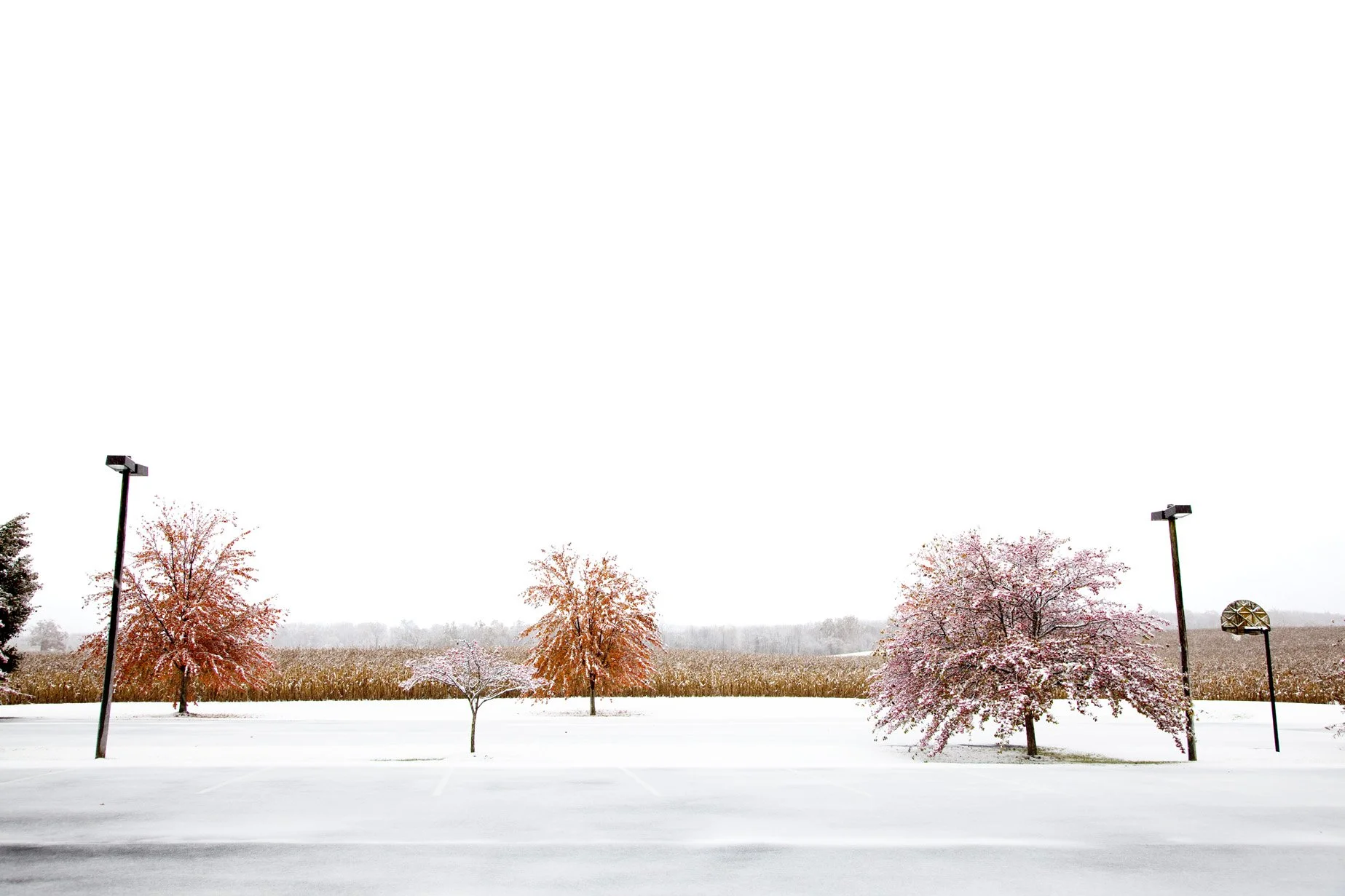 20111029_1930 Snow Parking Lot.jpg
