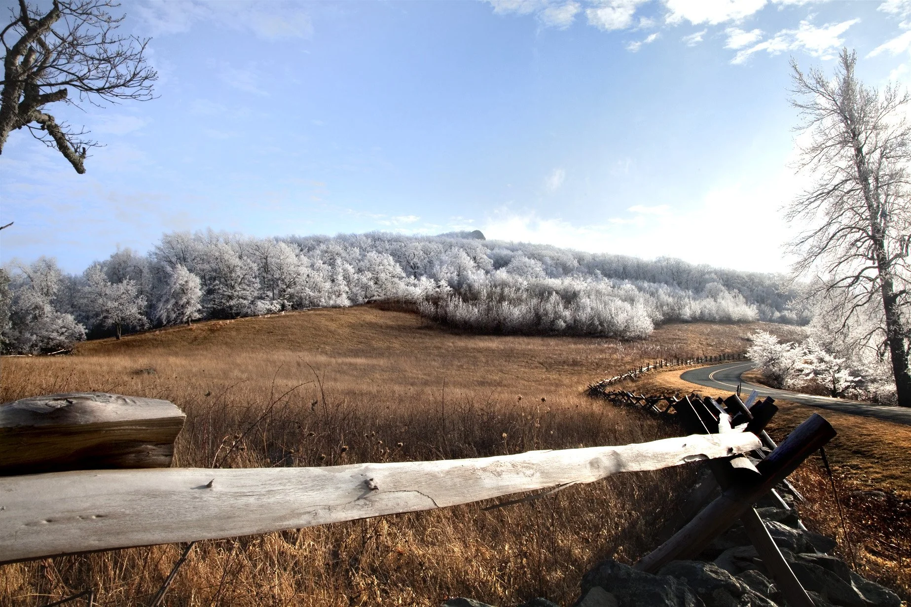 20110223_2919 Humpback Meadow Ice Trees.jpg