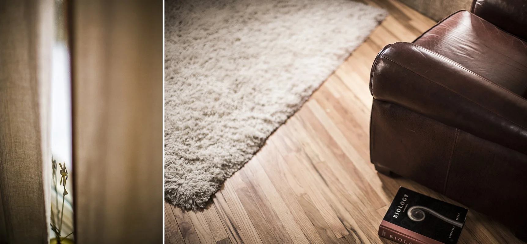 140205 8659 Julian St Composite 6.jpg